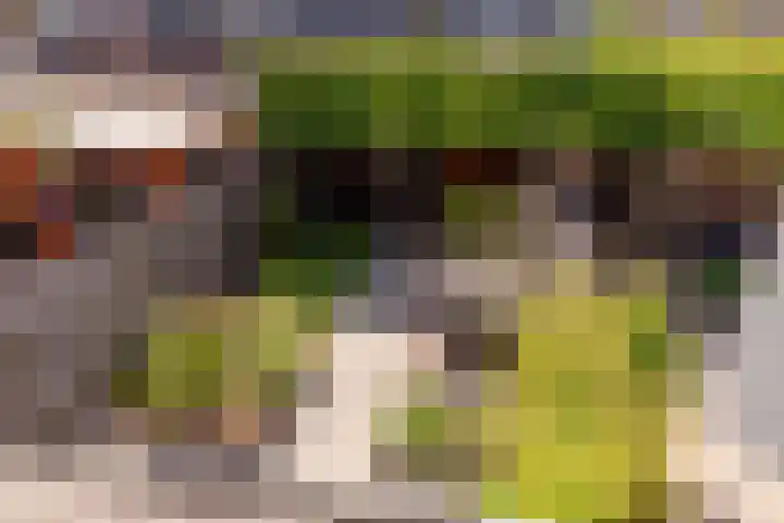 Moesson 11 Zeewolde thumbnail 41