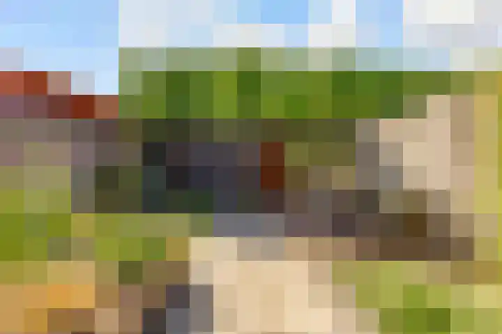 Moesson 11 Zeewolde thumbnail 42