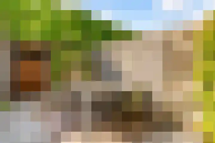 Moesson 11 Zeewolde thumbnail 43