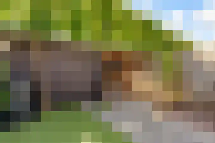 Moesson 11 Zeewolde thumbnail 44