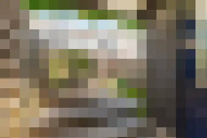 Moesson 11 Zeewolde thumbnail 46
