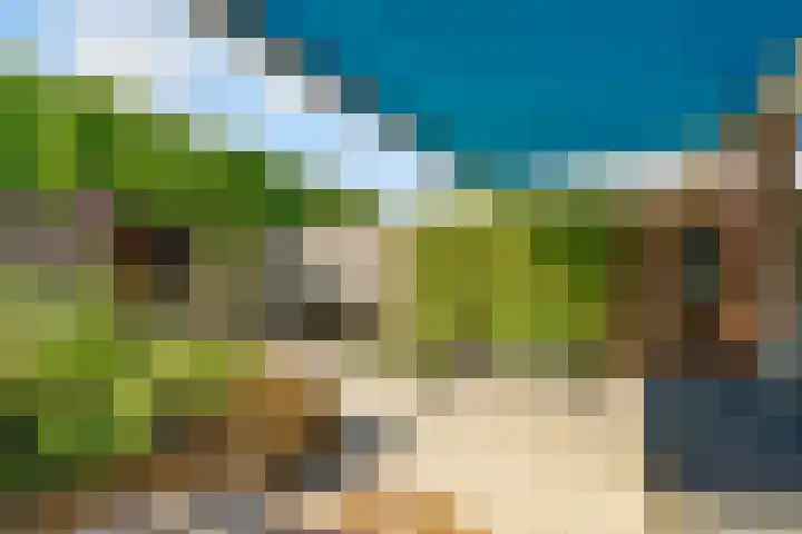 Moesson 11 Zeewolde thumbnail 48
