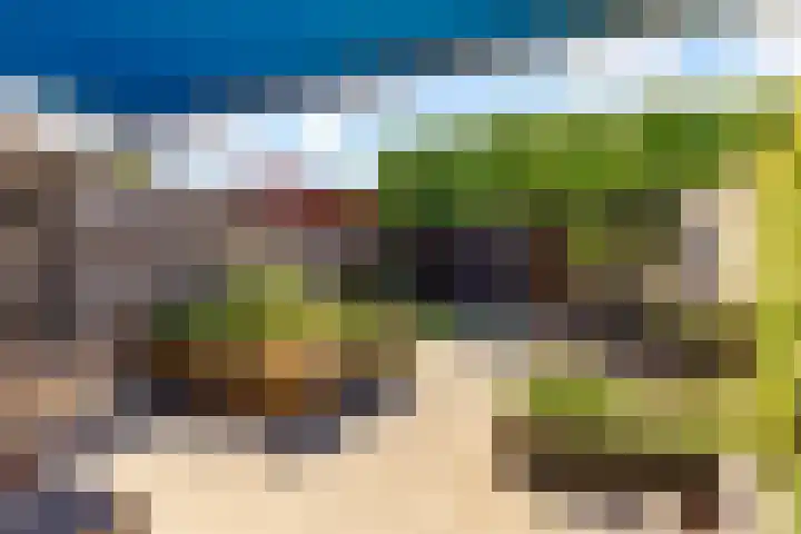 Moesson 11 Zeewolde thumbnail 49