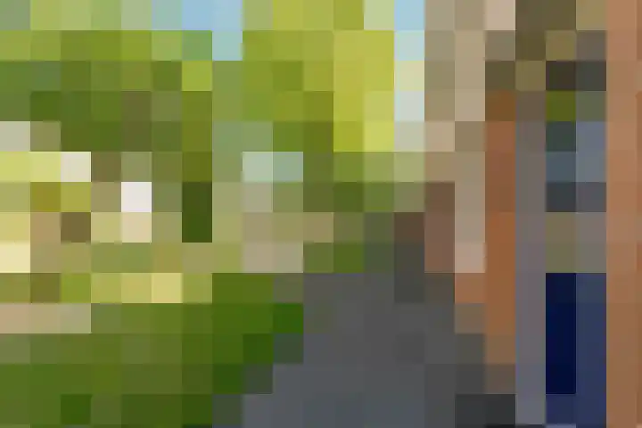 Moesson 11 Zeewolde thumbnail 50