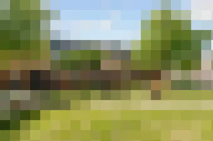Moesson 11 Zeewolde thumbnail 51