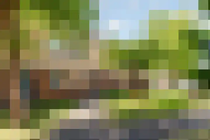 Moesson 11 Zeewolde thumbnail 52