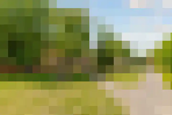 Moesson 11 Zeewolde thumbnail 53