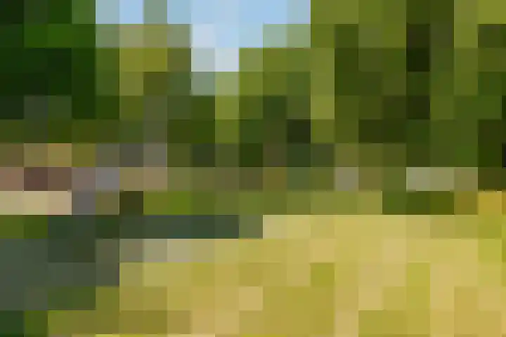 Moesson 11 Zeewolde thumbnail 54