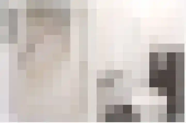 Moesson 11 Zeewolde thumbnail 7