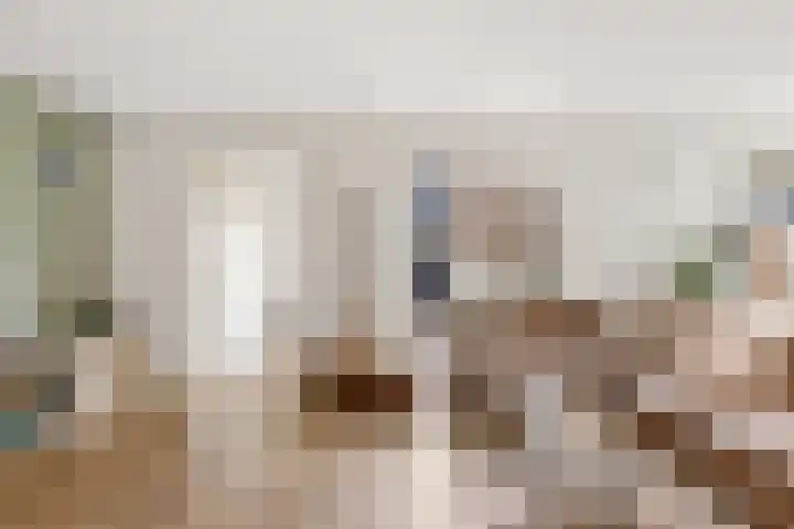 Moesson 17 Zeewolde thumbnail 12