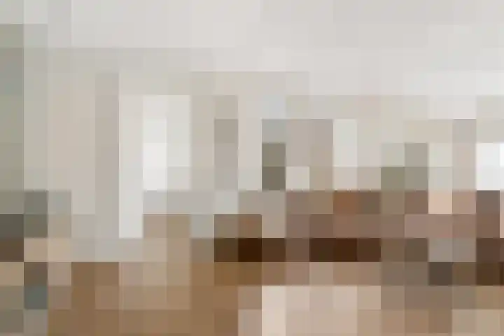 Moesson 17 Zeewolde thumbnail 15