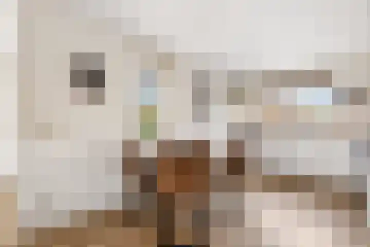 Moesson 17 Zeewolde thumbnail 22