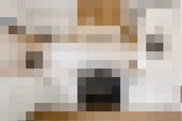 Moesson 17 Zeewolde thumbnail 23