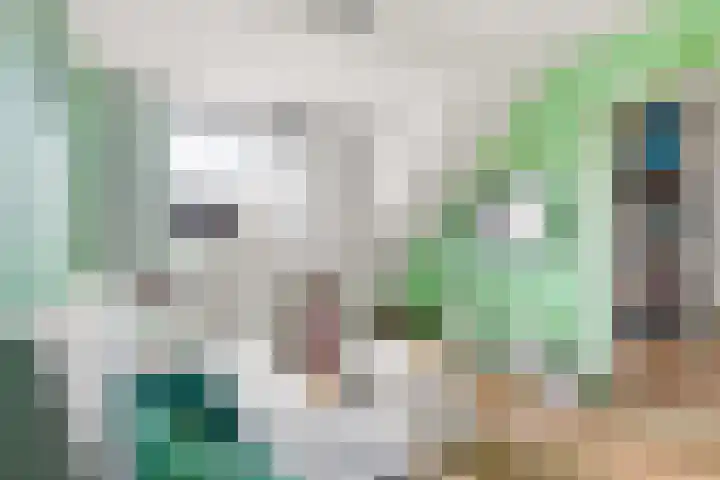 Moesson 17 Zeewolde thumbnail 31
