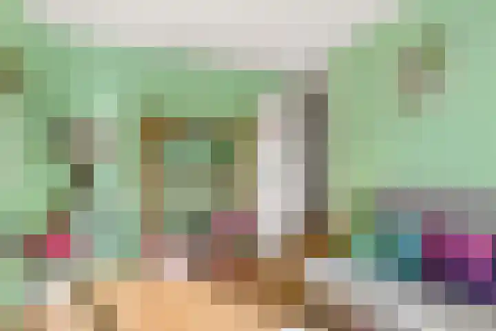 Moesson 17 Zeewolde thumbnail 32