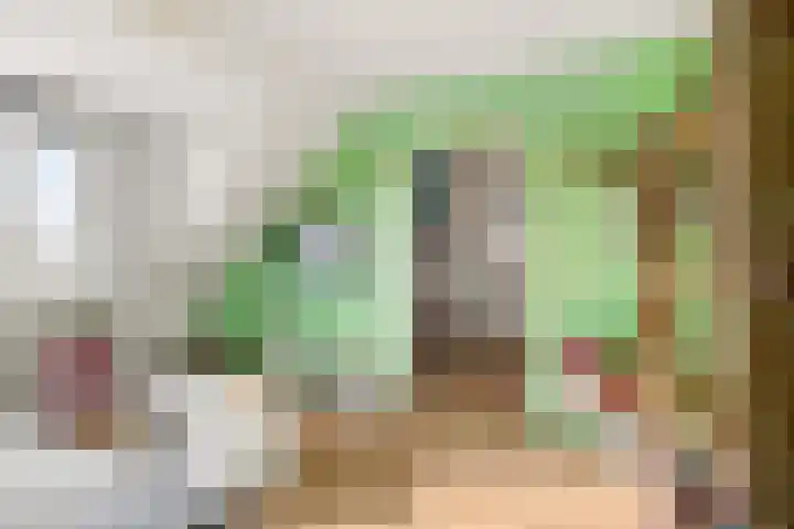 Moesson 17 Zeewolde thumbnail 33
