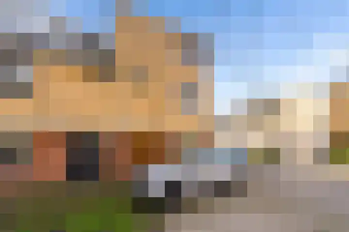 Moesson 17 Zeewolde thumbnail 4
