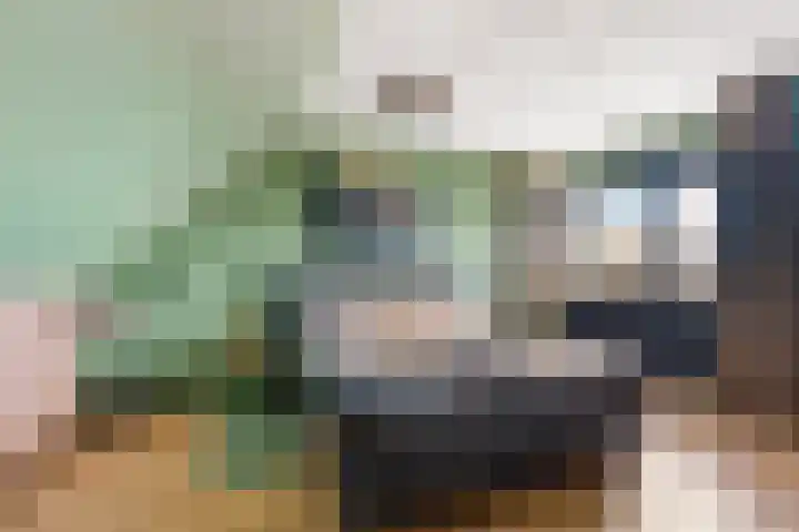 Moesson 17 Zeewolde thumbnail 44