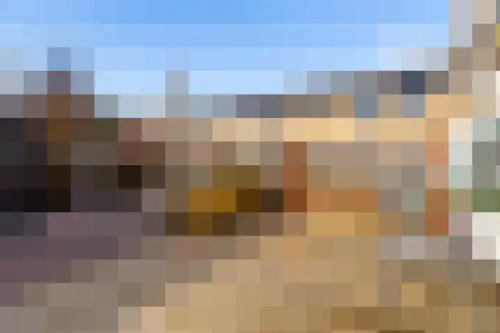 Moesson 17 Zeewolde thumbnail 49