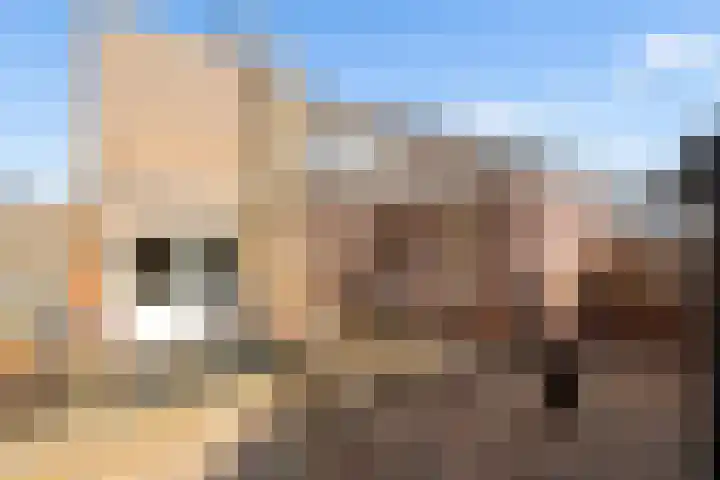 Moesson 17 Zeewolde thumbnail 50