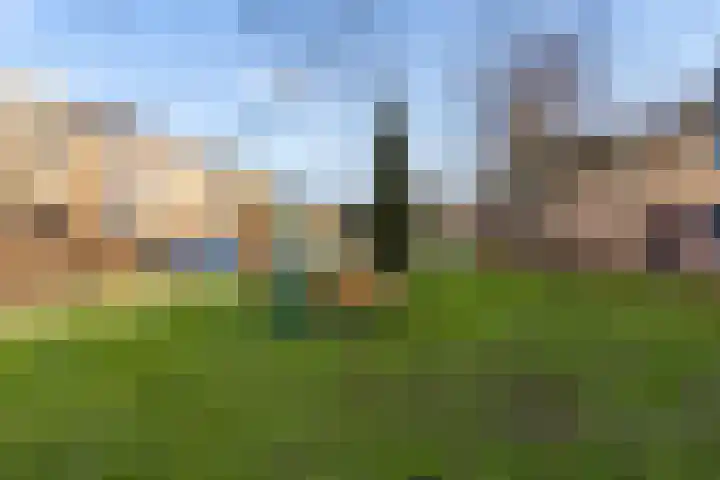 Moesson 17 Zeewolde thumbnail 55