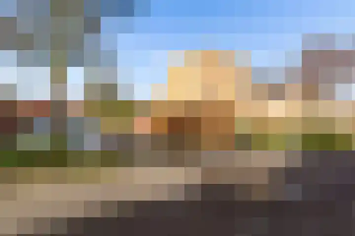 Moesson 17 Zeewolde thumbnail 57