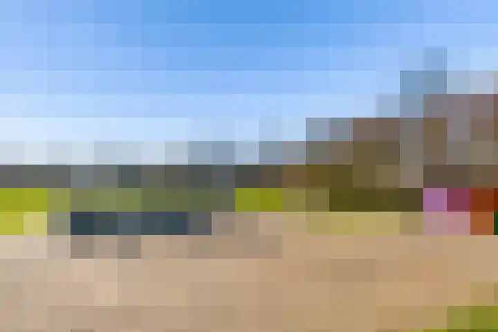 Moesson 17 Zeewolde thumbnail 6