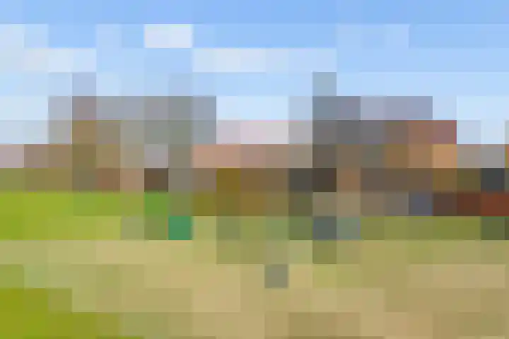 Moesson 17 Zeewolde thumbnail 7
