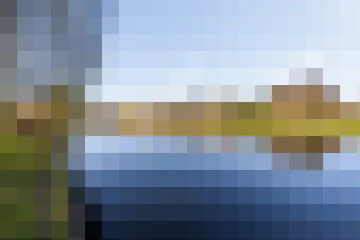 Moesson 17 Zeewolde thumbnail 8