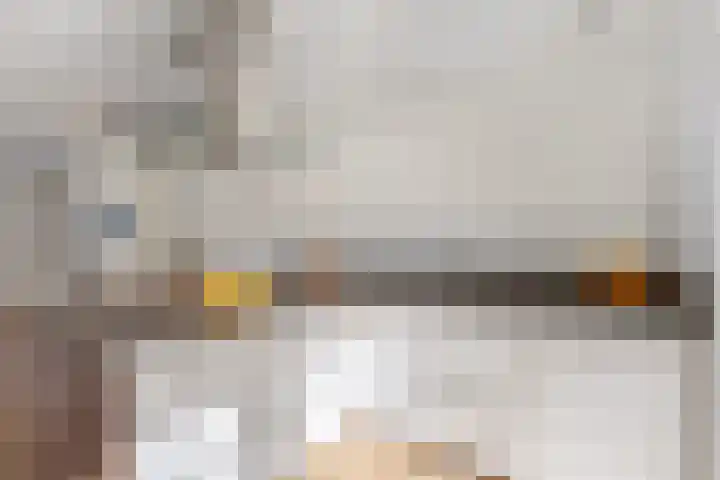 Moezel 204 Drachten thumbnail 20