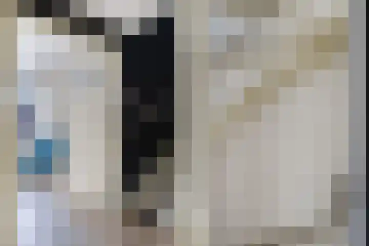 Moezel 204 Drachten thumbnail 36