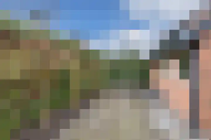 Moezel 204 Drachten thumbnail 48
