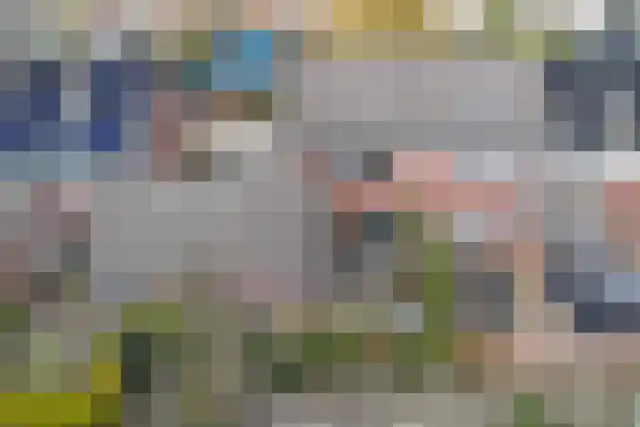 Moezel 204 Drachten thumbnail 49