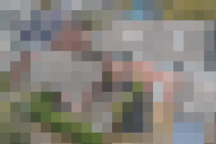 Moezel 204 Drachten thumbnail 50