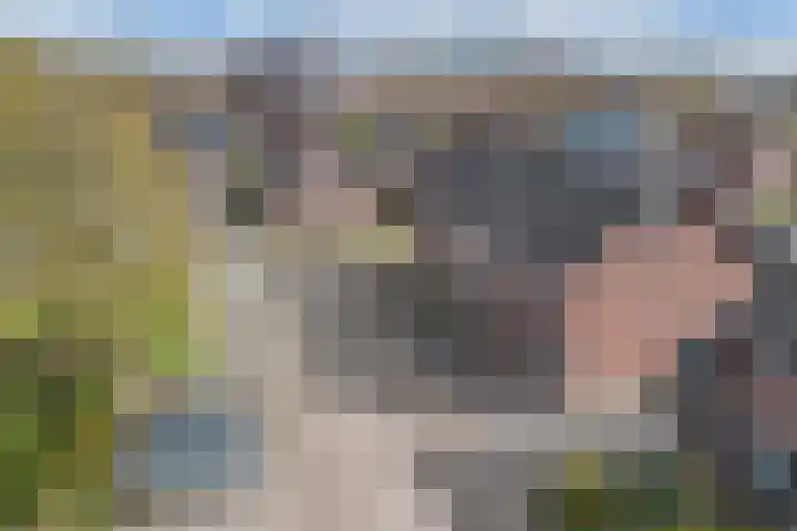 Moezel 204 Drachten thumbnail 51