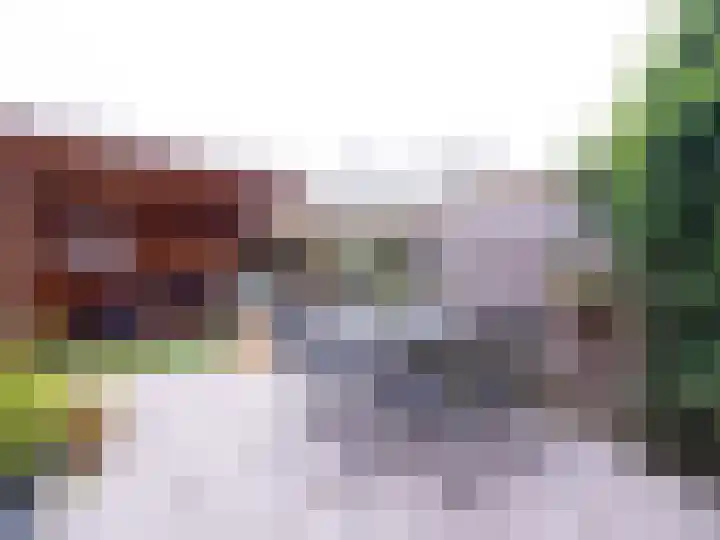 Moezel 45 Drachten thumbnail 38