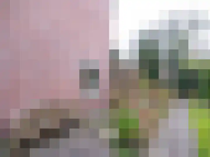 Moezel 45 Drachten thumbnail 6