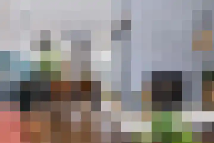 Moezel 69 Drachten thumbnail 12