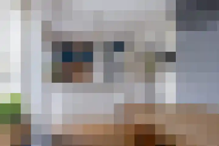 Moezel 69 Drachten thumbnail 17