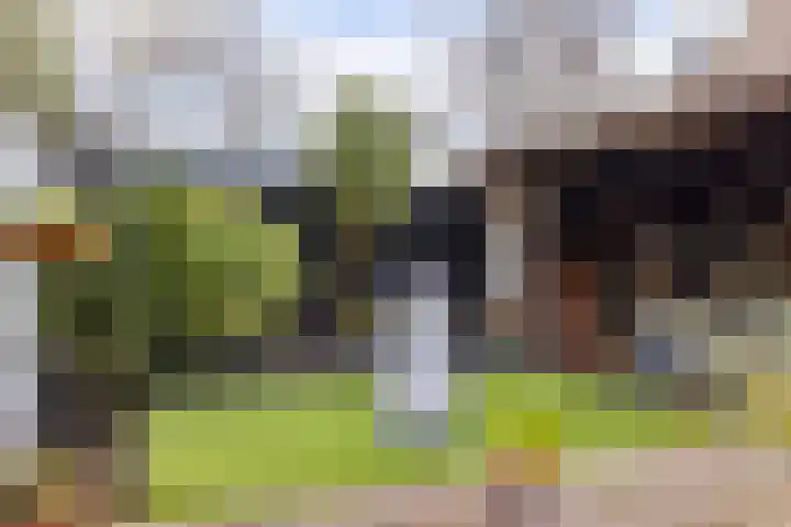 Moezel 69 Drachten thumbnail 25