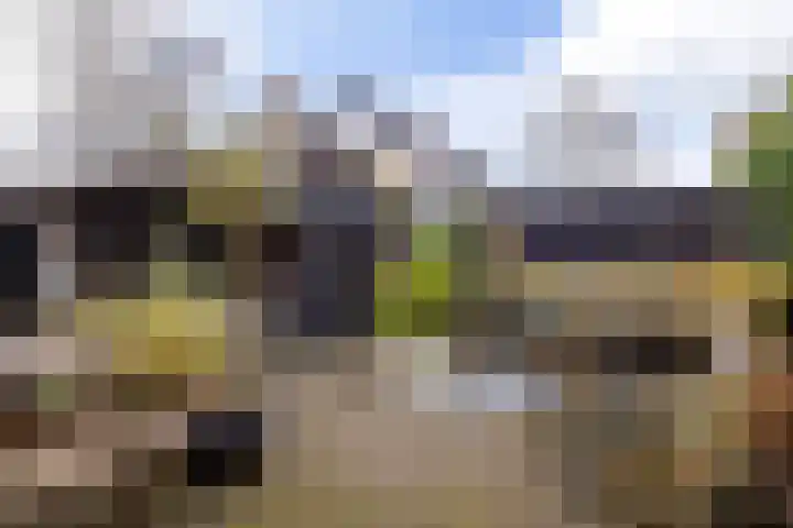 Moezel 69 Drachten thumbnail 30