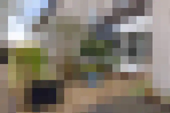 Moezel 69 Drachten thumbnail 7