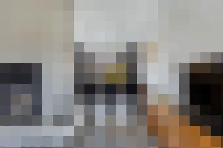 Moezel 75 Drachten thumbnail 13