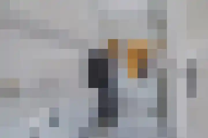 Moezel 75 Drachten thumbnail 21