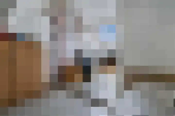 Moezel 75 Drachten thumbnail 27
