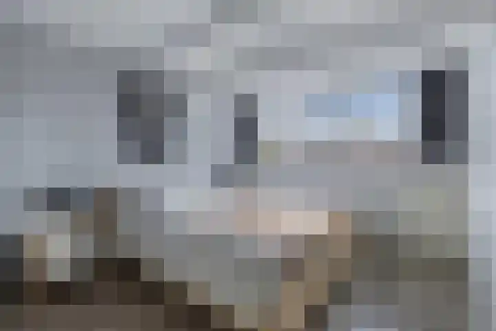 Moezel 75 Drachten thumbnail 30