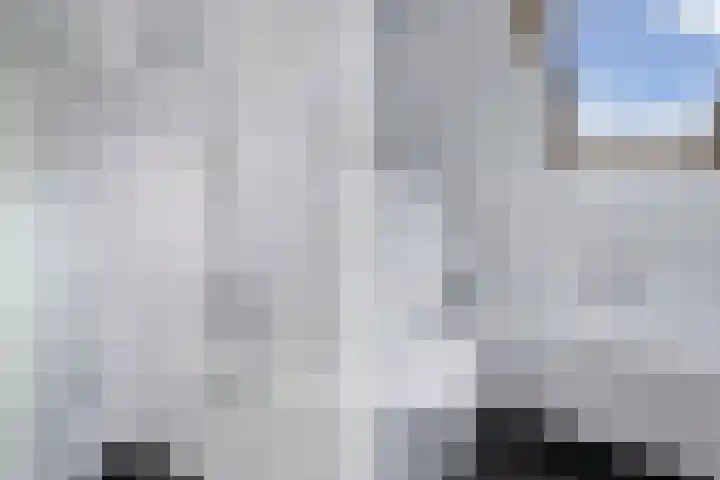 Moezel 75 Drachten thumbnail 33