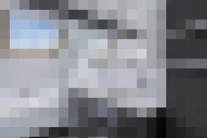 Moezel 75 Drachten thumbnail 34