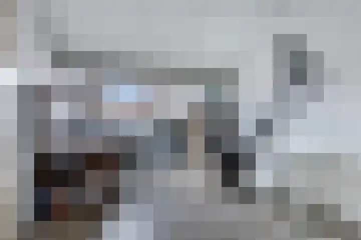 Moezel 75 Drachten thumbnail 39