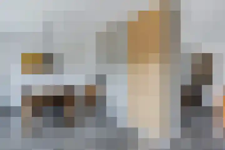 Moezel 75 Drachten thumbnail 4